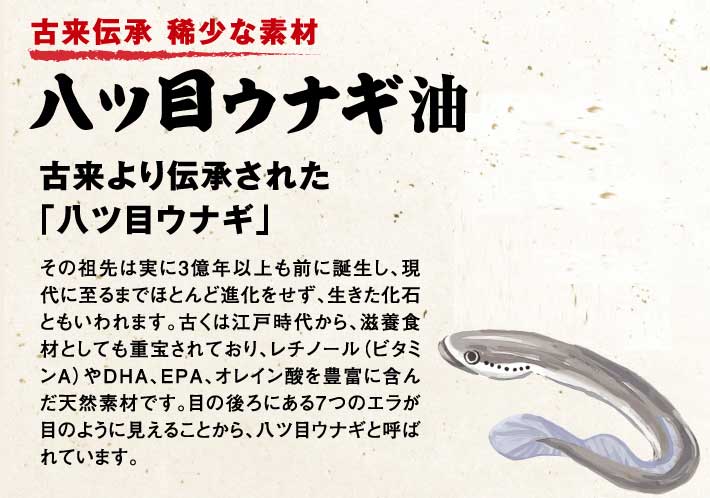いいもの王国サイト / 八ツ目ウナギEX